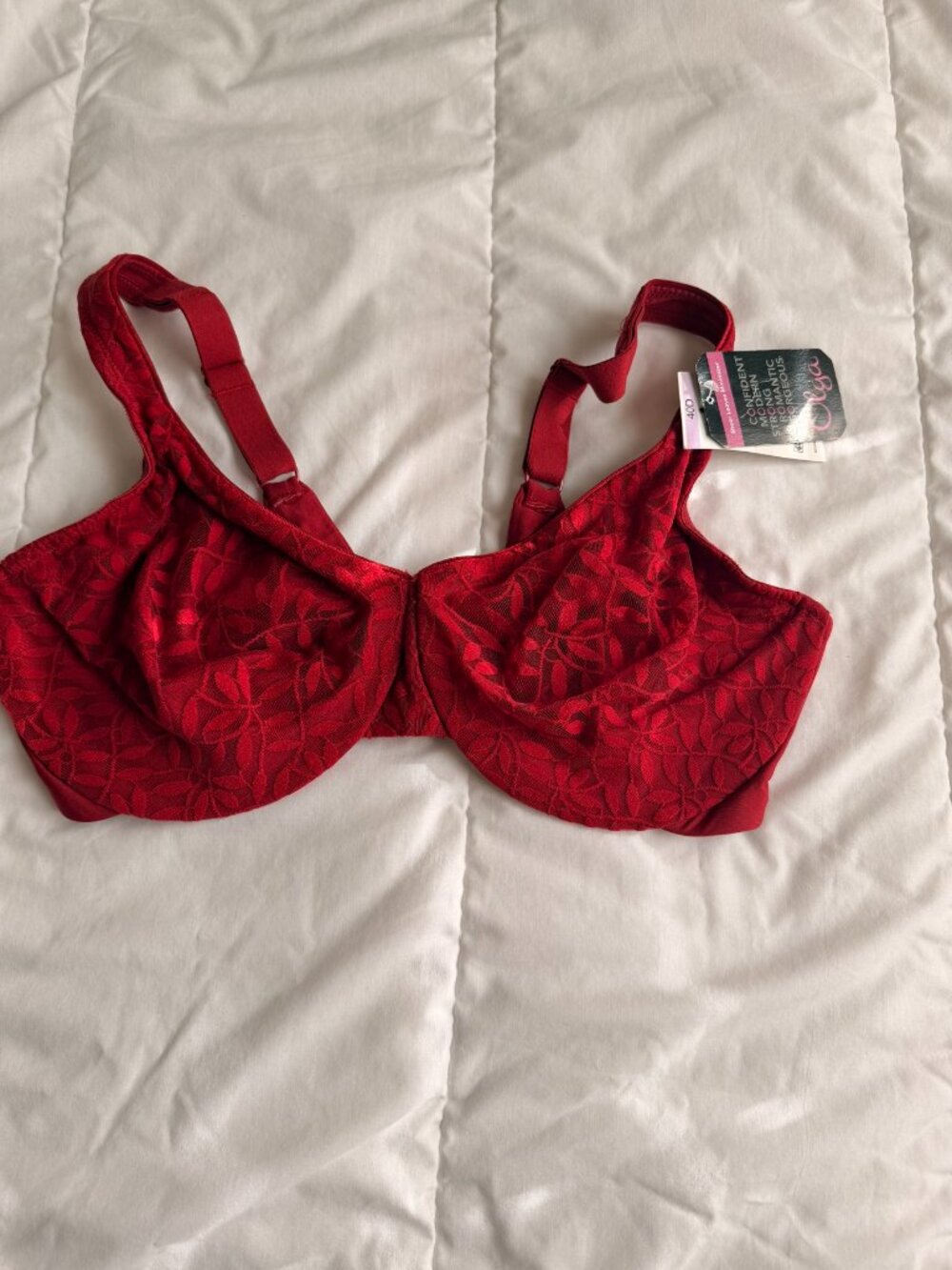 Olga Sheer Leaves Minimizer Bra, 40D, NWT